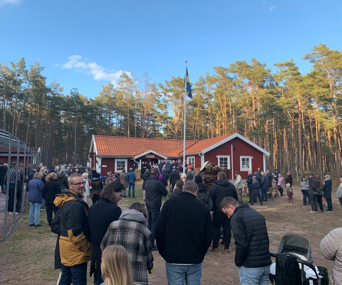 BLI MEDLEM